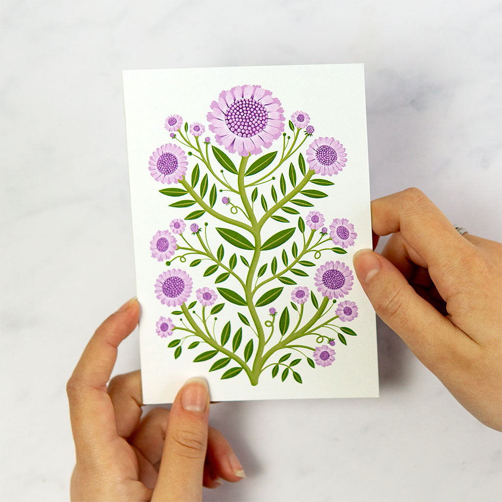 Small Scabious Flowers Greetings Card