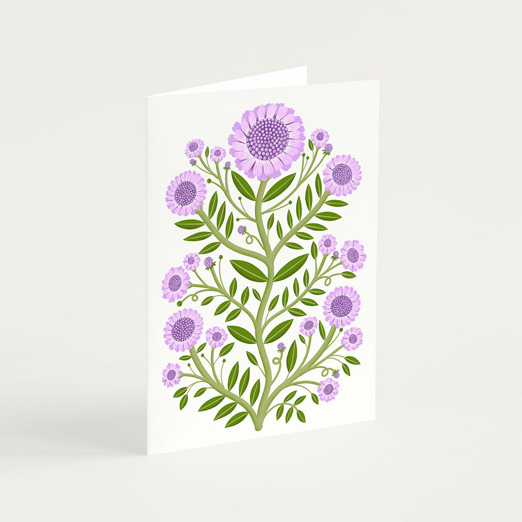 Small Scabious Flowers Greetings Card