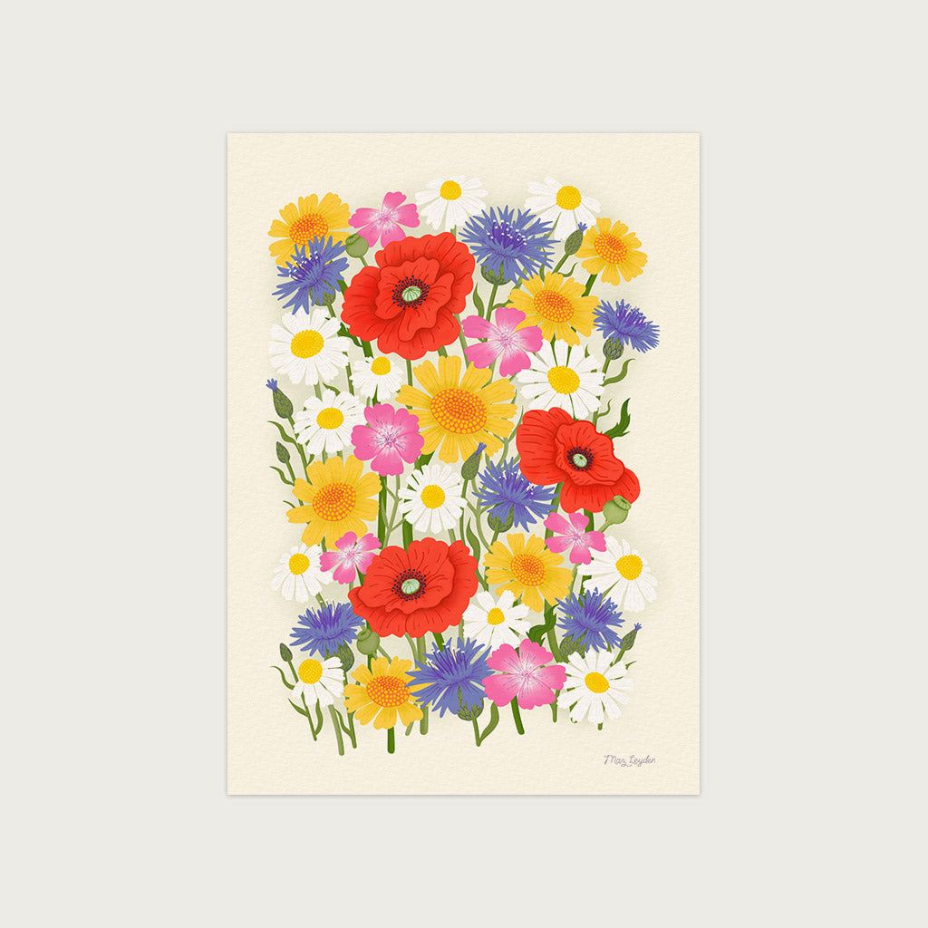 cornflower art prints